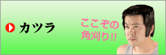 おもしろグッズカツラ